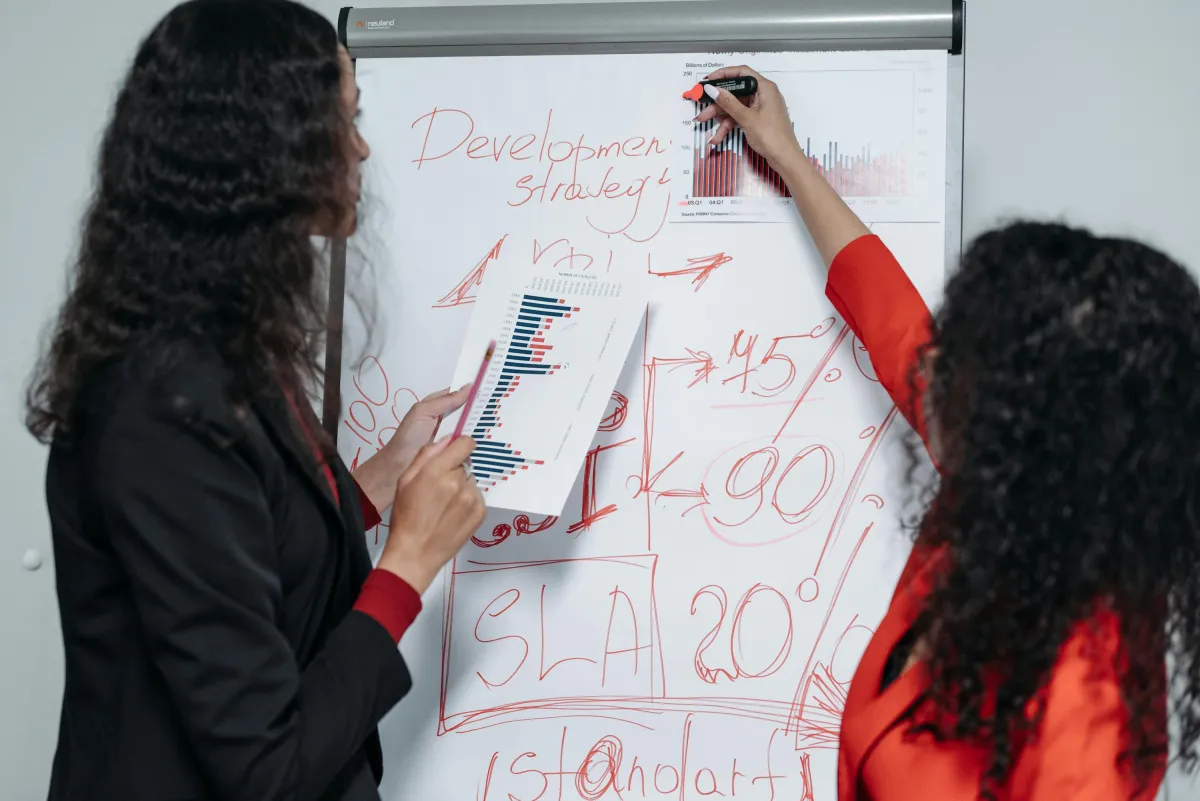 apa itu business development